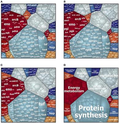 Detailed Soluble Proteome Analyses of a Dairy-Isolated Enterococcus faecalis: A Possible Approach to Assess Food Safety and Potential Probiotic Value